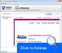Accdb Recovery Tool